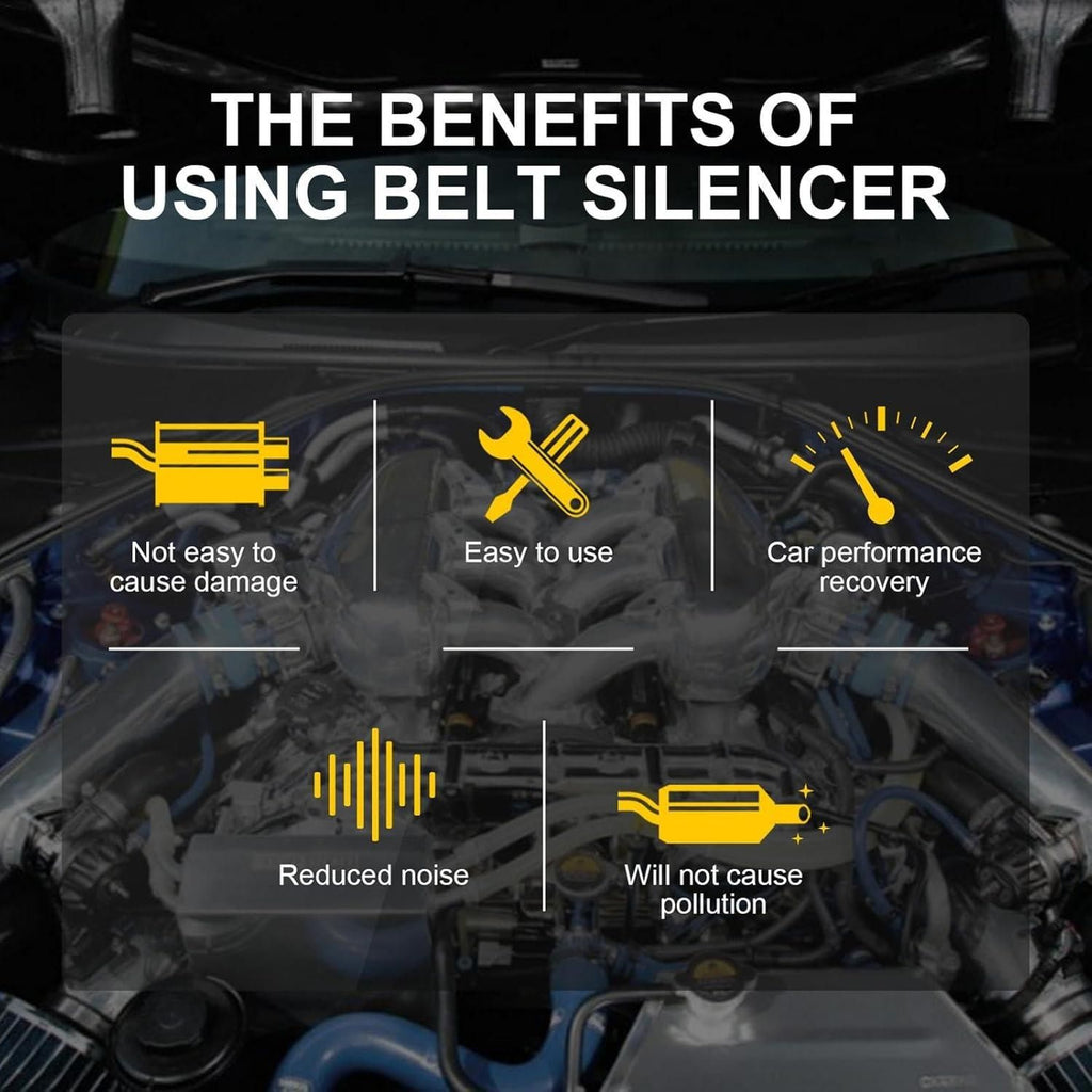 Belt Noise Reducer 100 ml each Pack of 2